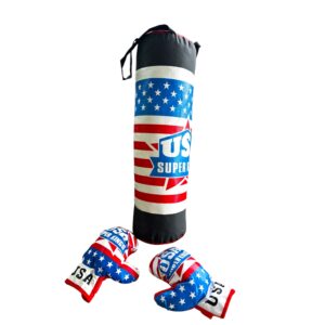 Kids Large Punch Bag and Gloves
