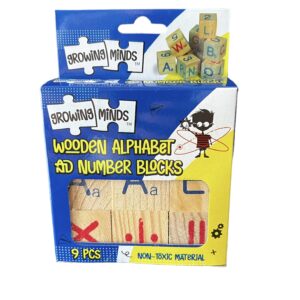 Wooden Alphabet and Counting Blocks